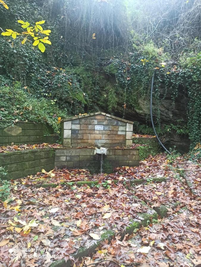Forestrock Studio For Sale Too Sparta Exterior foto