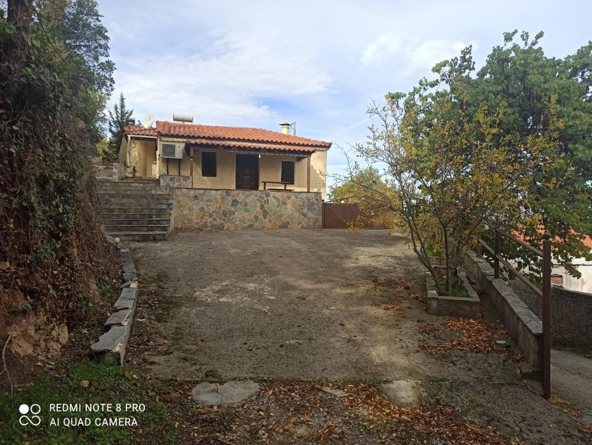 Forestrock Studio For Sale Too Sparta Exterior foto